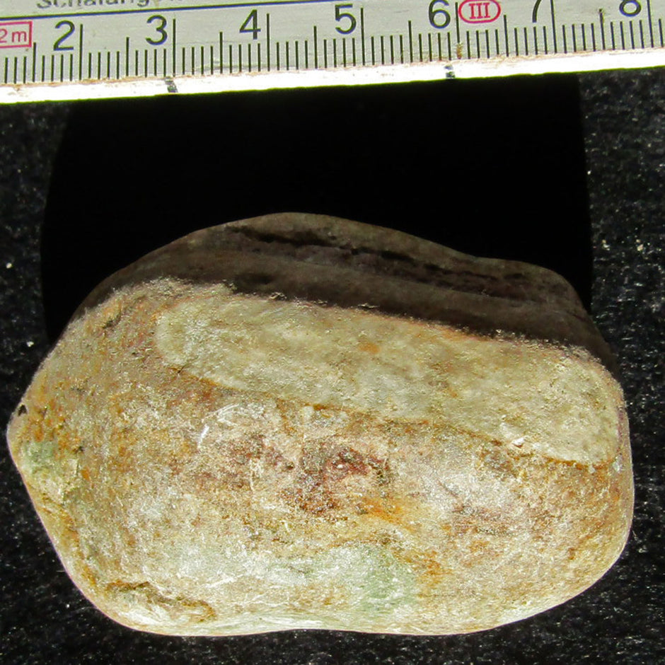 Orthoceras Geradhorn im rötlichen Kalkgestein, Unikat