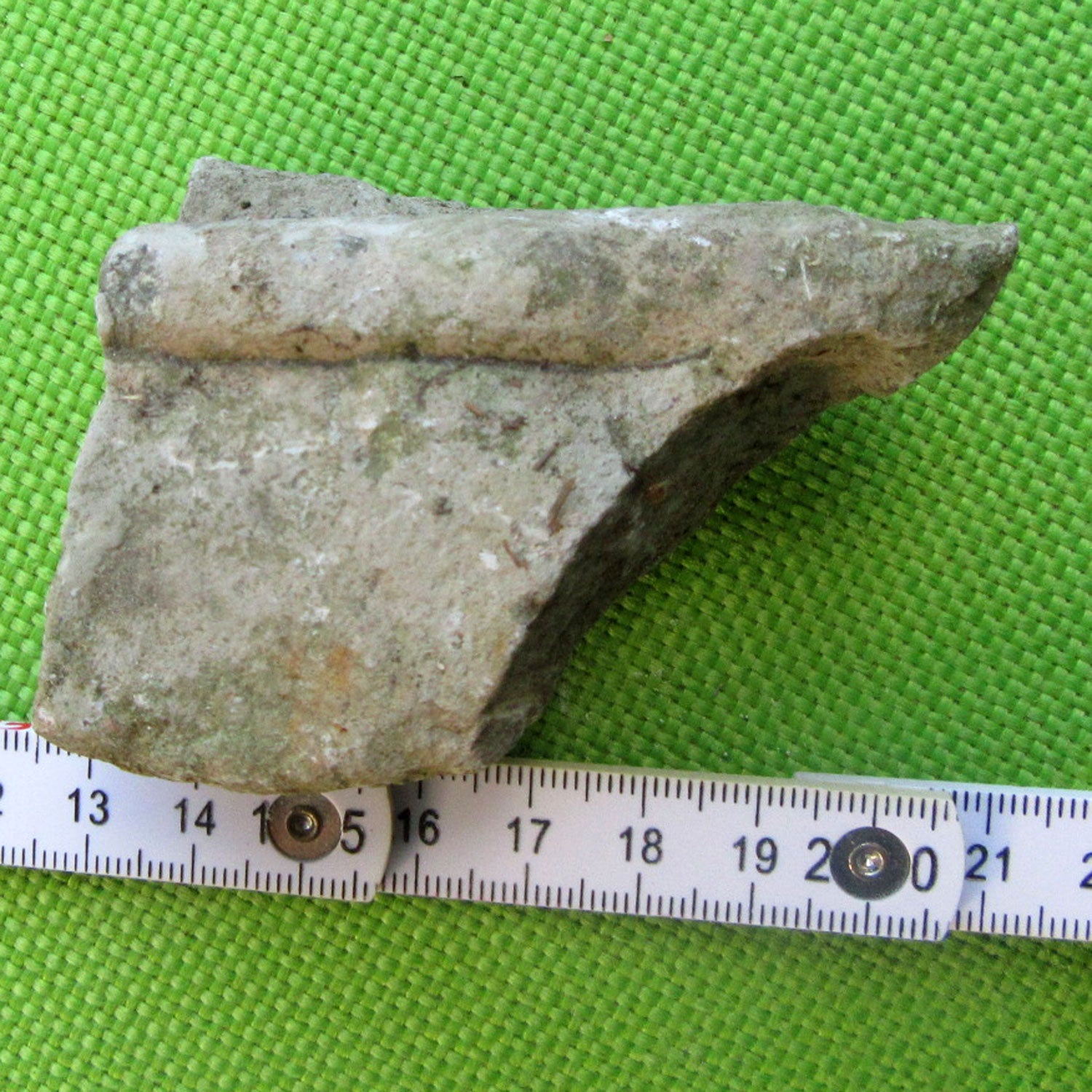 Orthoceras Fossil auf grauem Kalkstein, Einzelstück