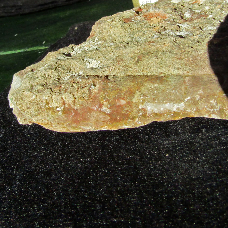 Orthoceras Geradhorn im rötlichen Kalkstein, Unikat