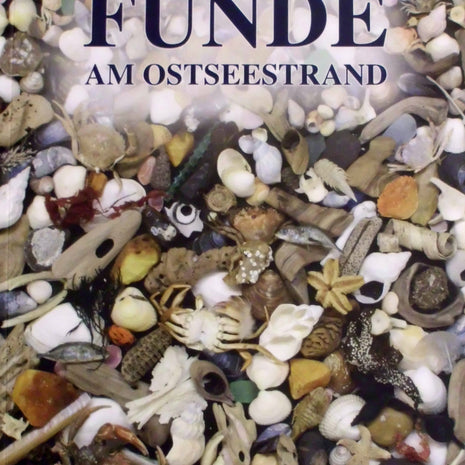 Funde am Ostseestrand