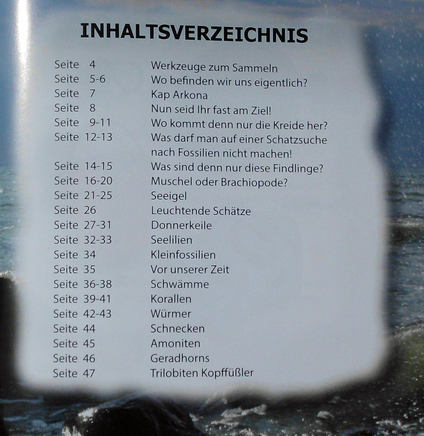 Rügens Schätze am Kreidestrand