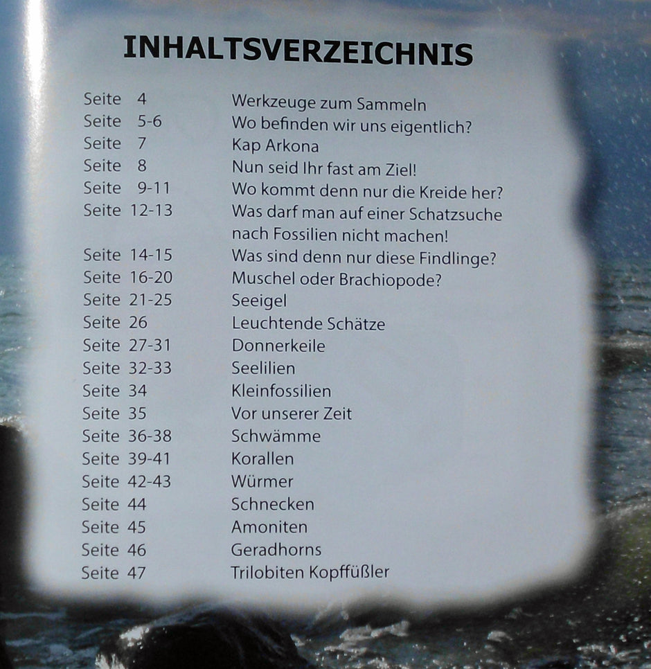 Rügens Schätze am Kreidestrand