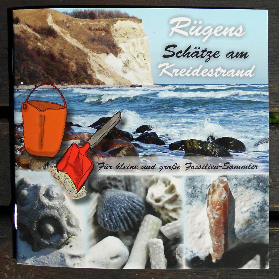 Rügens Schätze am Kreidestrand