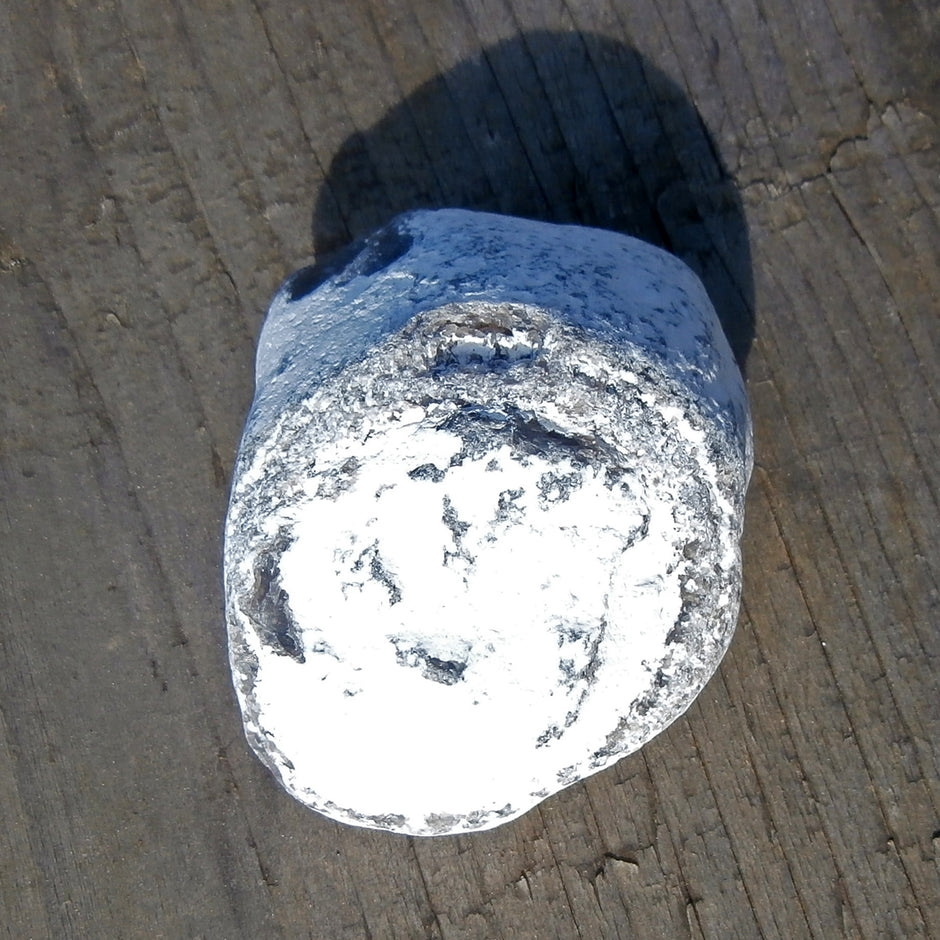 Versteinerter Schwamm aus Rügener Kreide, Einzelstück