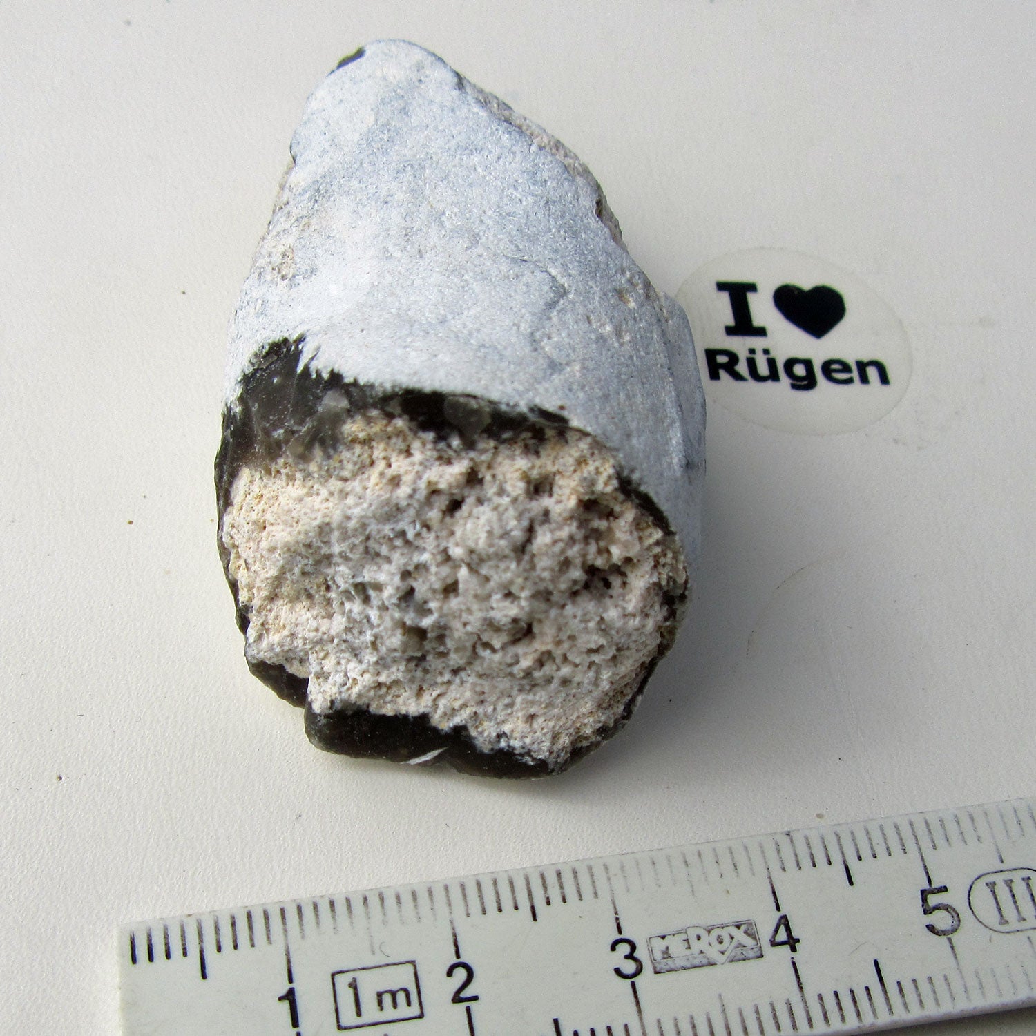 Versteinerter Schwamm aus Feuerstein von Rügen, Unikat