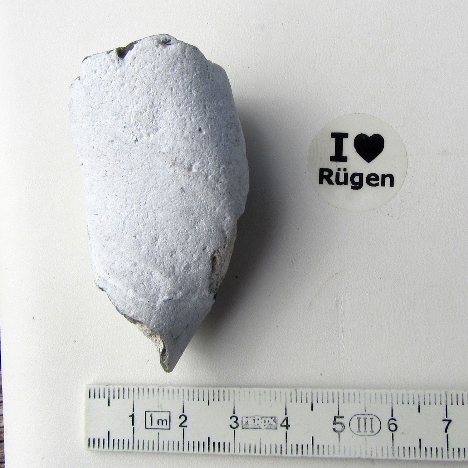 Versteinerter Schwamm aus Feuerstein von Rügen, Unikat