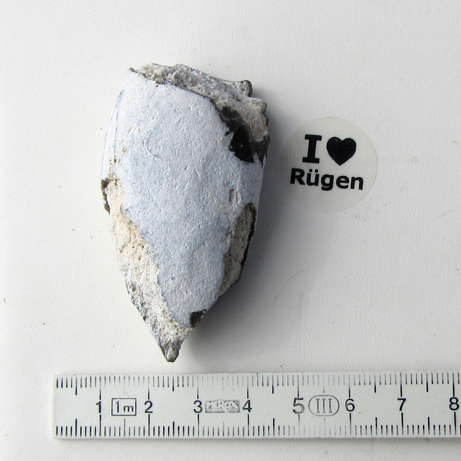 Versteinerter Schwamm aus Feuerstein von Rügen, Unikat