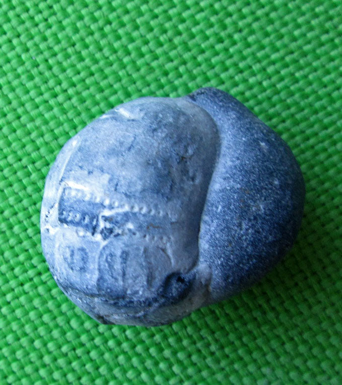 Versteinerter Seeigel mit Feuerstein, Unikat von Rügen