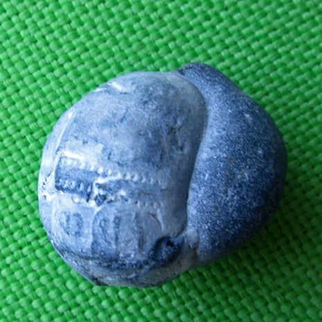 Versteinerter Seeigel mit Feuerstein, Unikat von Rügen