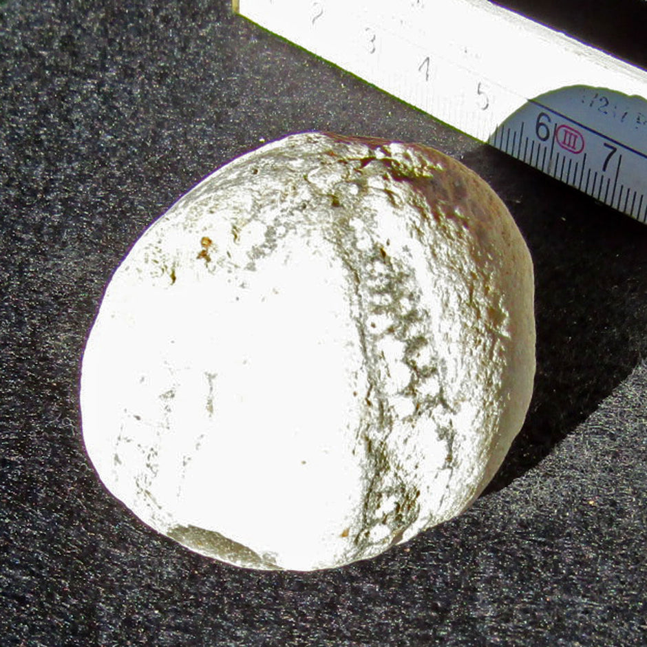 Versteinerter Seeigel von Rügen, 70 Millionen Jahre alt