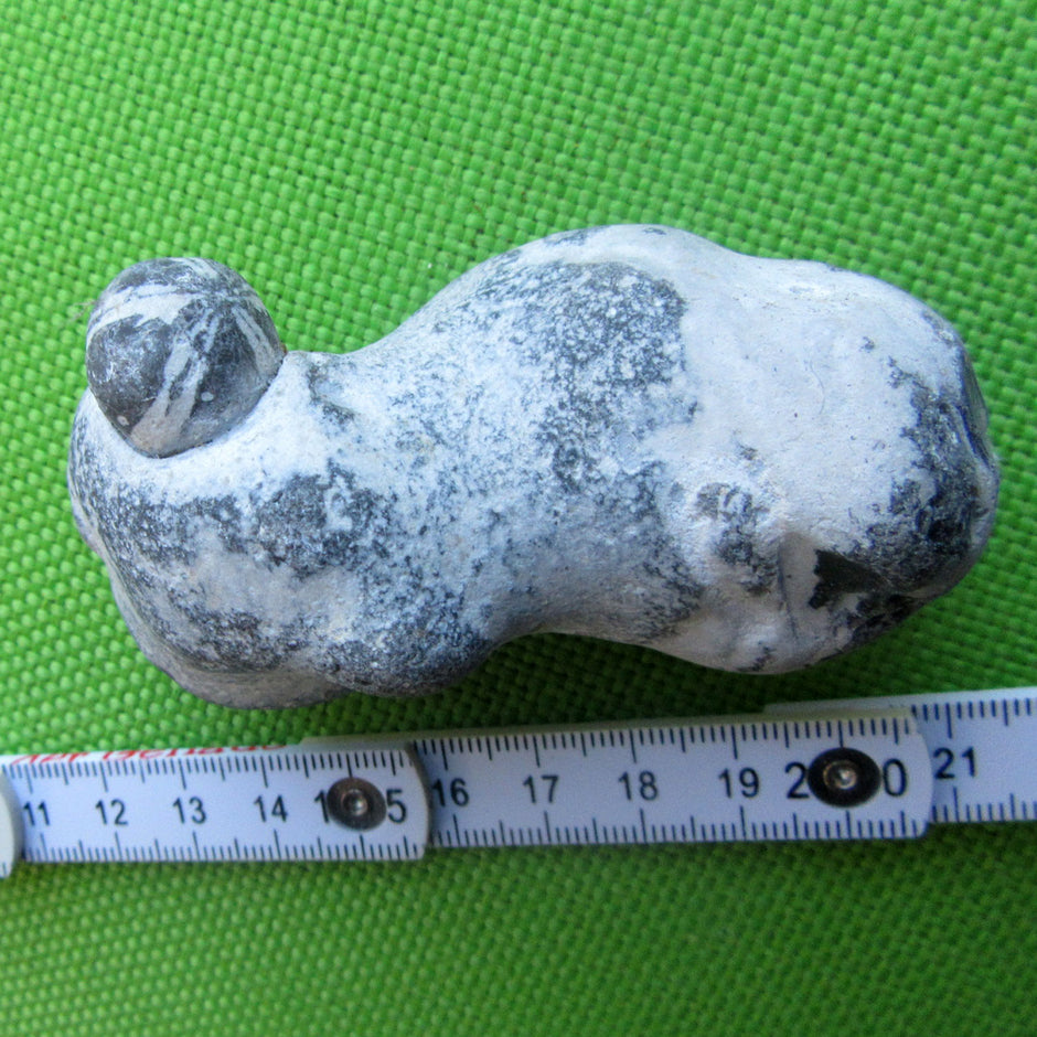 Kleiner Seeigel auf Feuerstein, Unikat aus der Ostsee