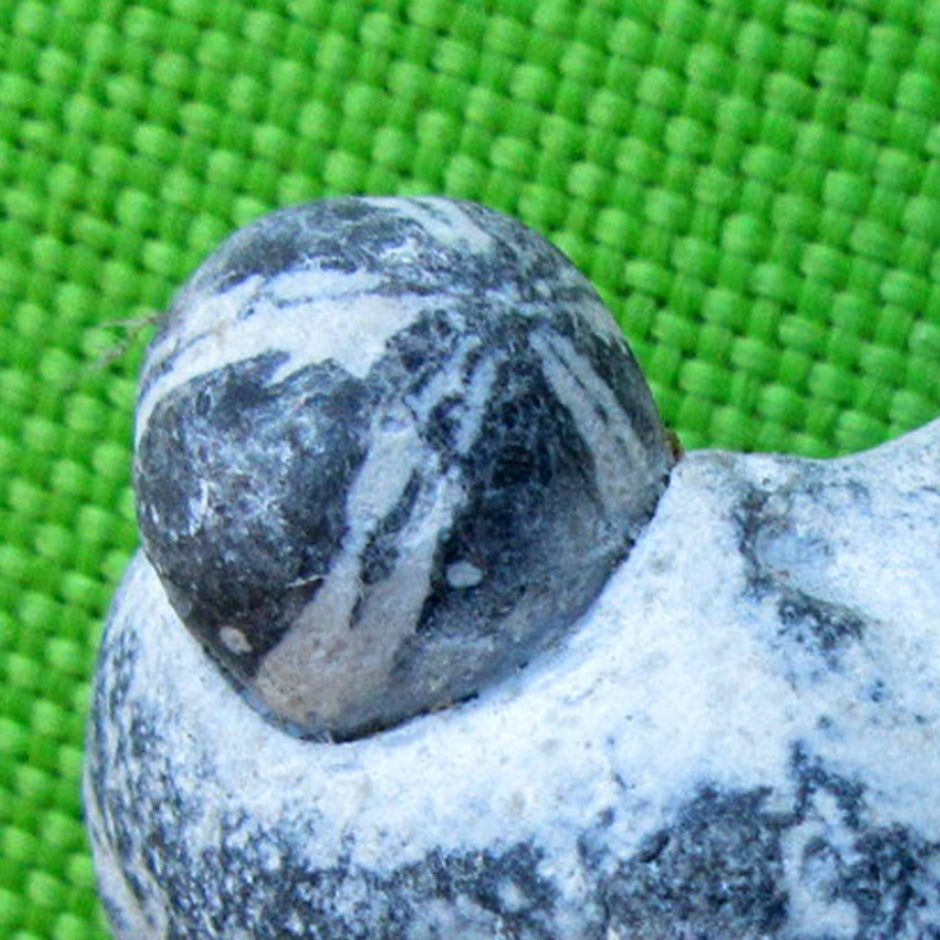 Kleiner Seeigel auf Feuerstein, Unikat aus der Ostsee