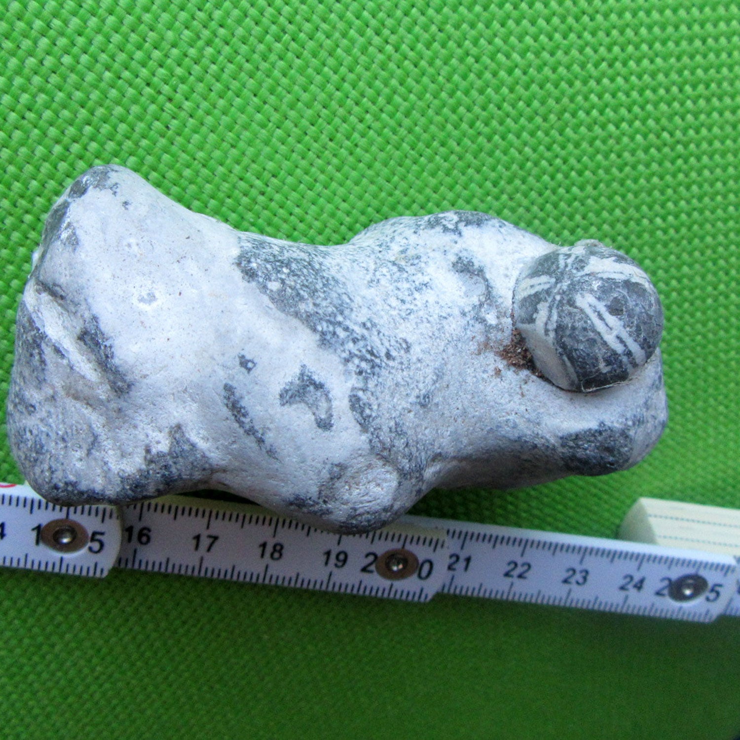 Kleiner Seeigel auf Feuerstein, Unikat aus der Ostsee