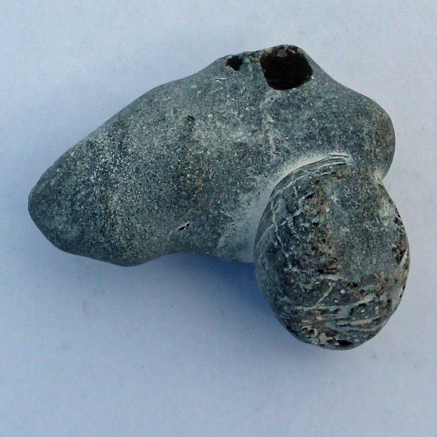 Versteinerter Seeigel aus Rügen, ca. 70 Millionen Jahre alt