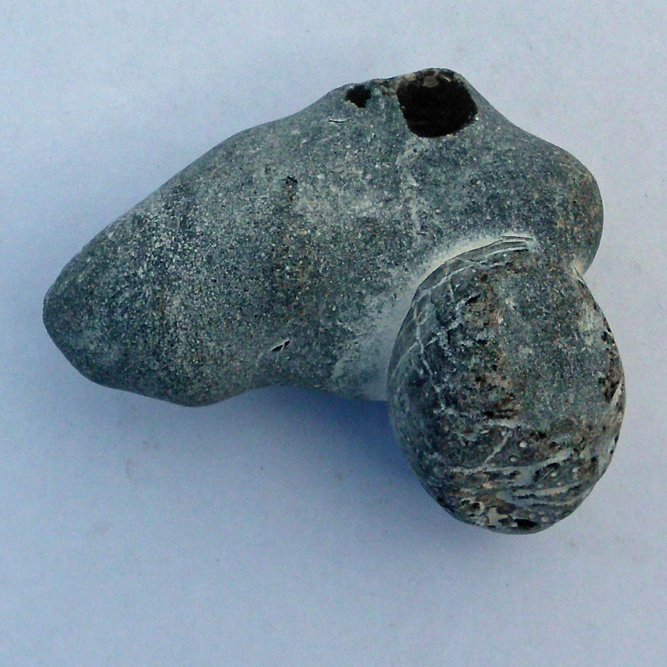 Versteinerter Seeigel aus Rügen, ca. 70 Millionen Jahre alt