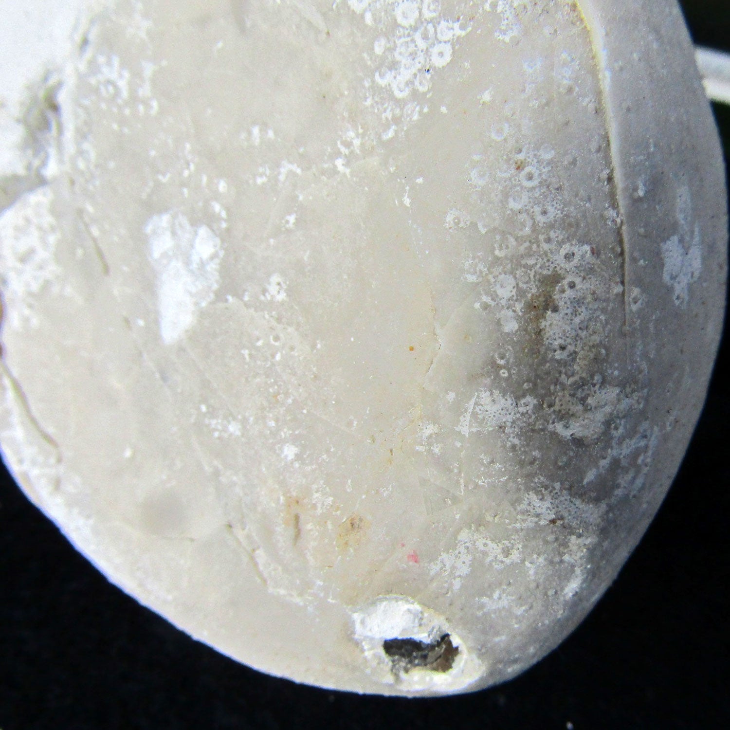 Echinocorys Seeigel aus Rügen, 70 Millionen Jahre alt