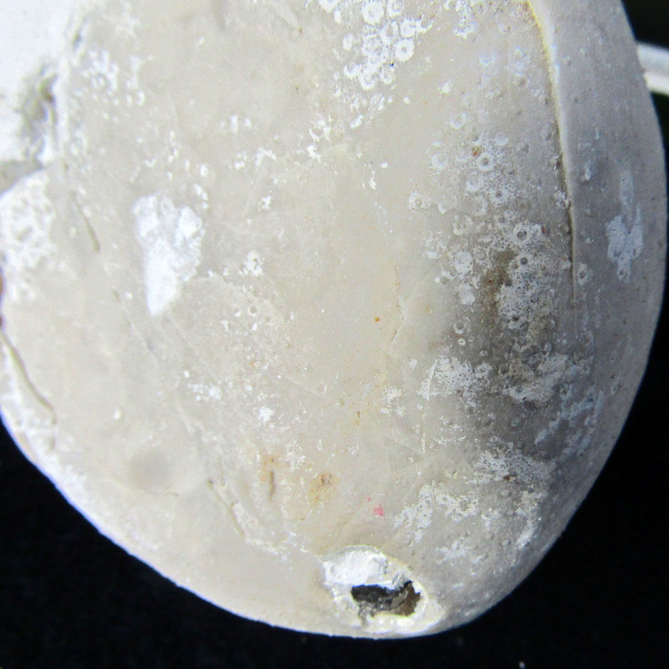 Echinocorys Seeigel aus Rügen, 70 Millionen Jahre alt