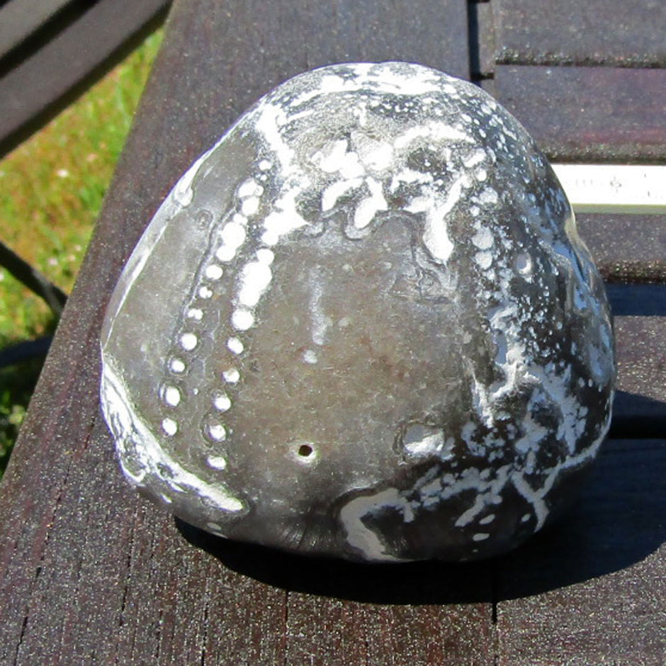 Einzigartiger, polierter Seeigel von der Ostsee-Insel Rügen