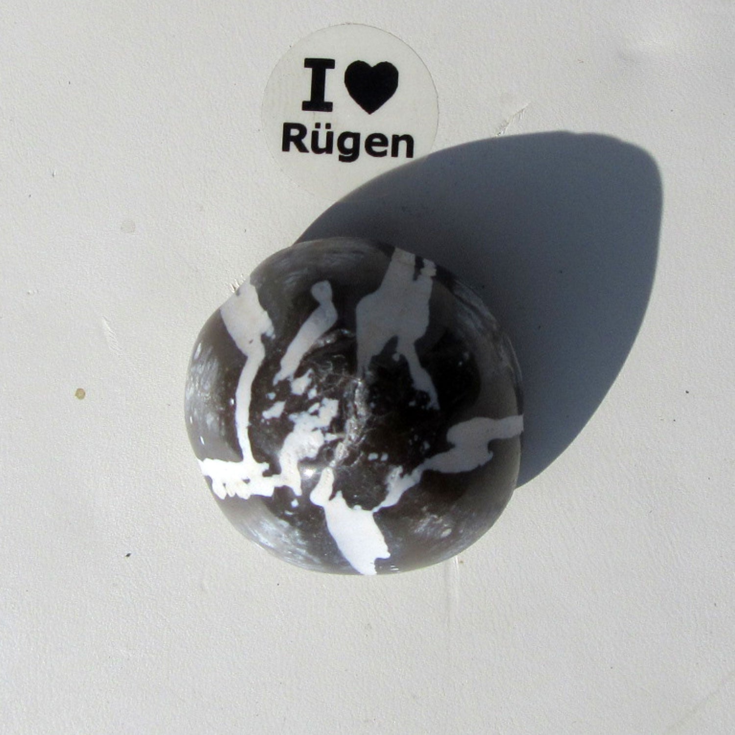 Polierter Seeigel auf Feuerstein, Einzelstück von Rügen