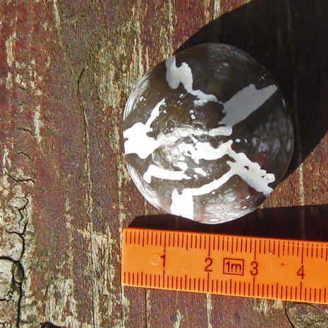 Polierter Seeigel auf Feuerstein, Einzelstück von Rügen