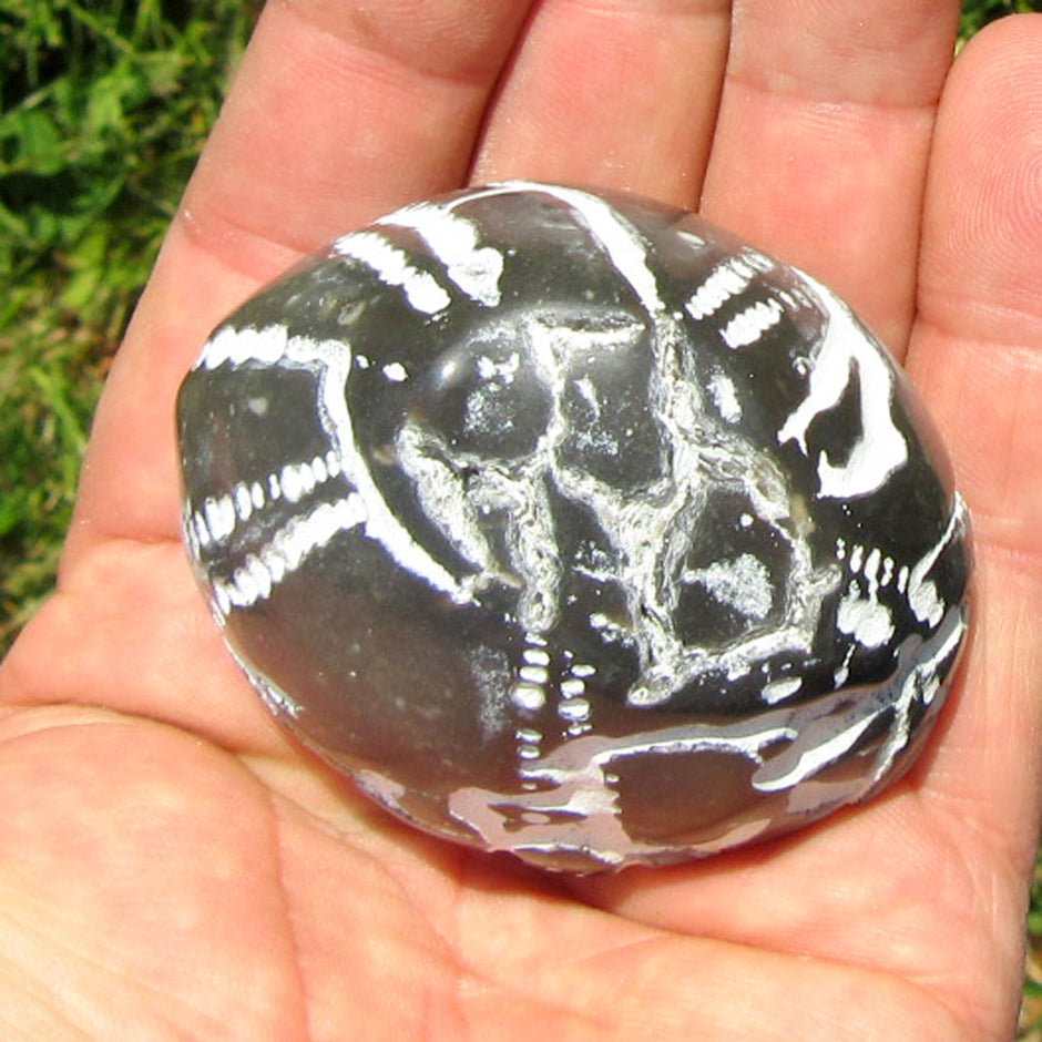 Polierter Seeigel von der Ostsee-Insel Rügen, Unikat