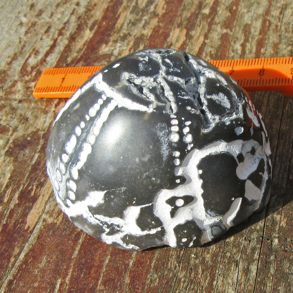 Polierter Seeigel von der Ostsee-Insel Rügen, Unikat