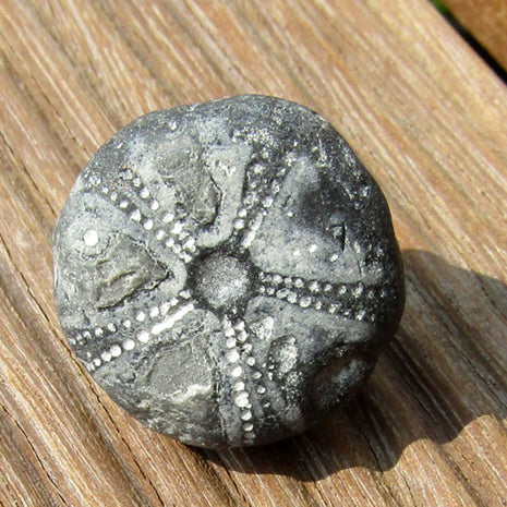 Versteinerter Seeigel GALERITIS – 70 Millionen Jahre alt