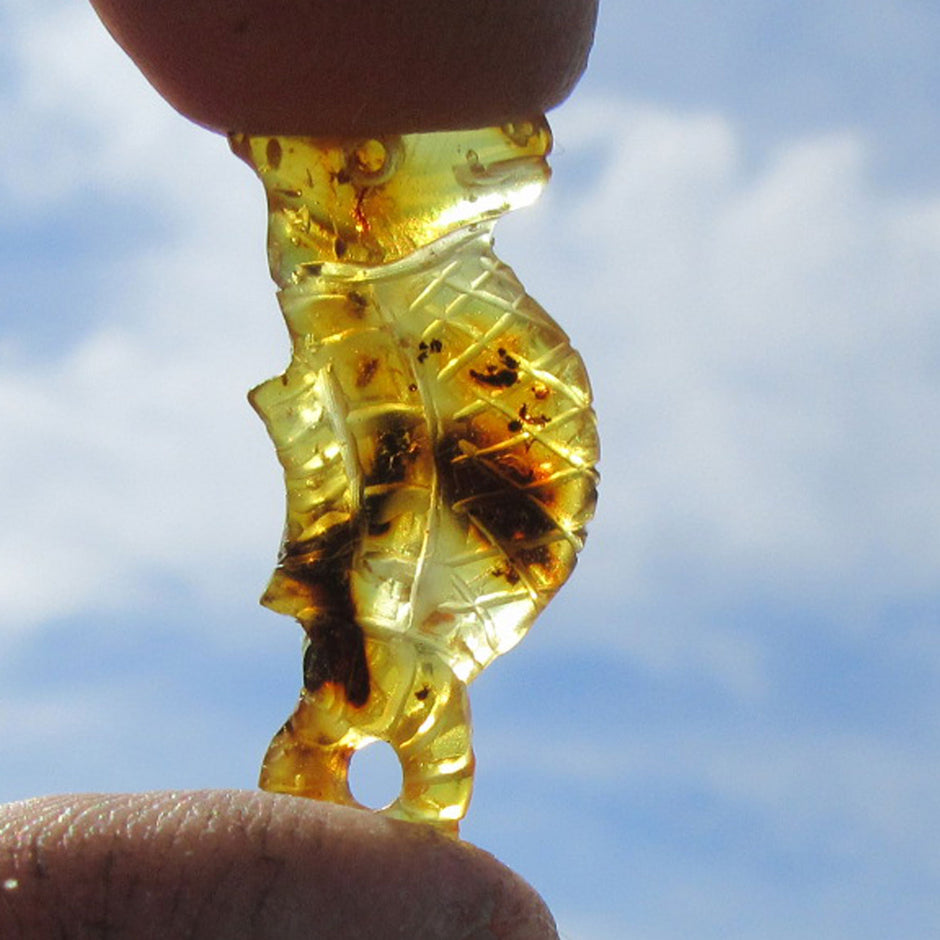 Seepferdchen aus Bernstein – Einzigartiges Unikat von Rügen