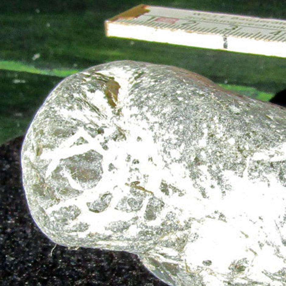 Versteinerte Steckmuschel Pinna aus Feuerstein, Unikat