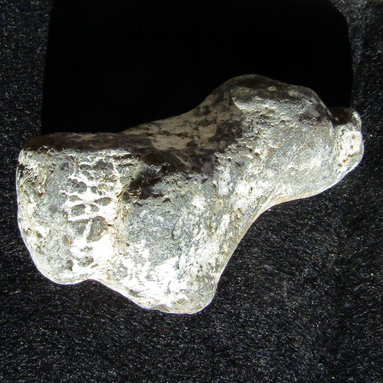 Versteinerte Steckmuschel Pinna aus Feuerstein, Unikat