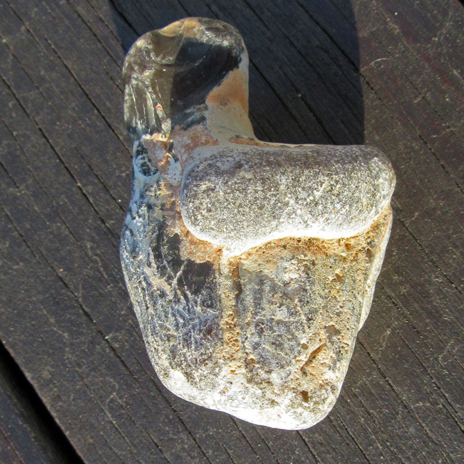 Feuerstein auf versteinertem Pinna-Muschel-Unikat