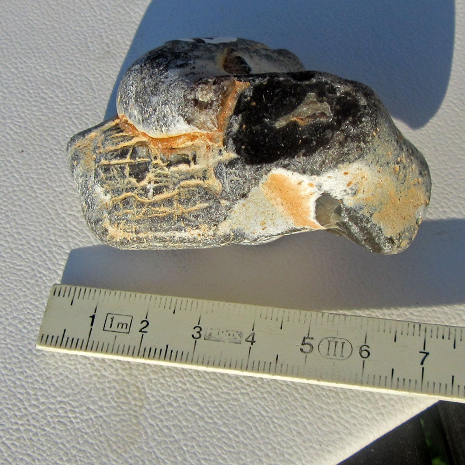 Feuerstein auf versteinertem Pinna-Muschel-Unikat