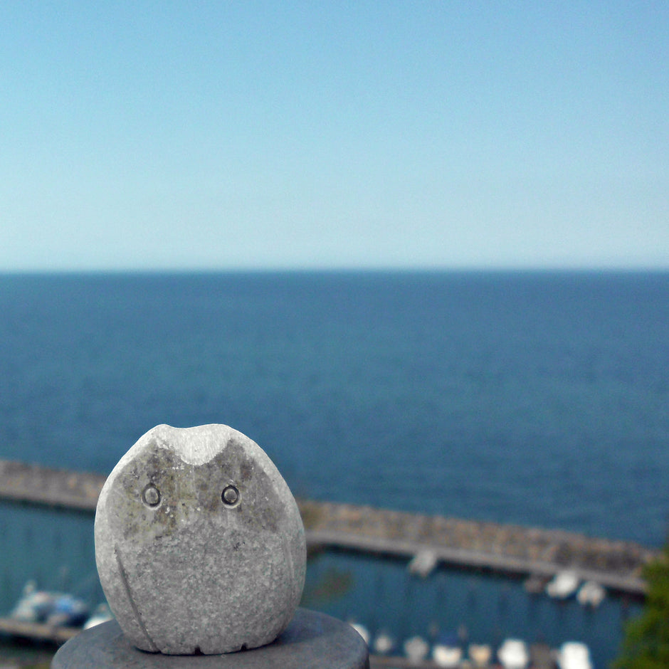 Eule aus Kalkstein – Natur trifft Kunst