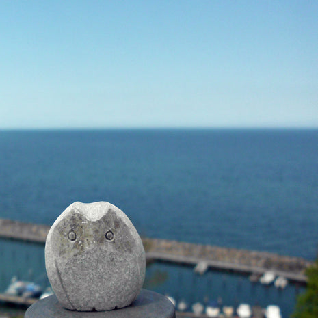 Eule aus Kalkstein – Natur trifft Kunst