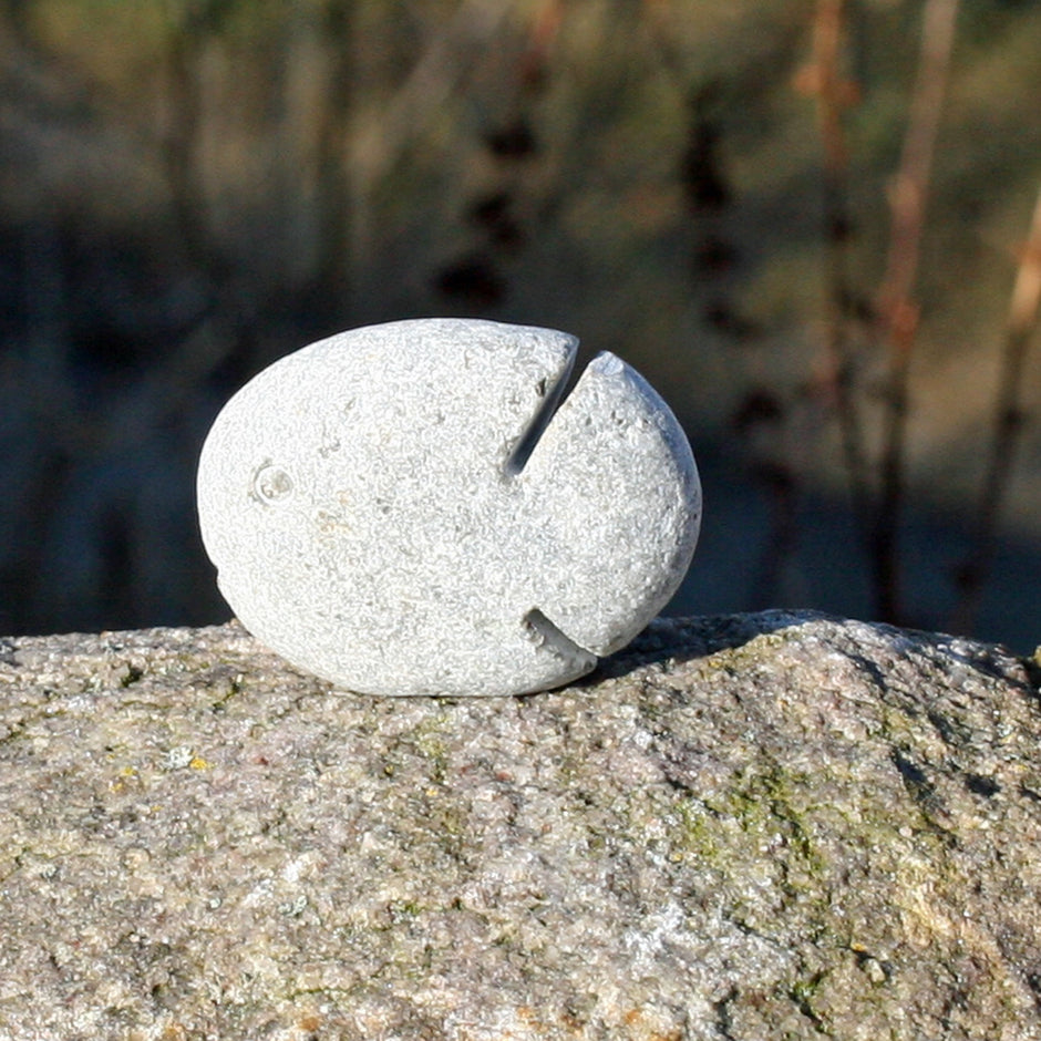 Einzelstück: Hellgrauer Fisch aus Rügener Kalkstein