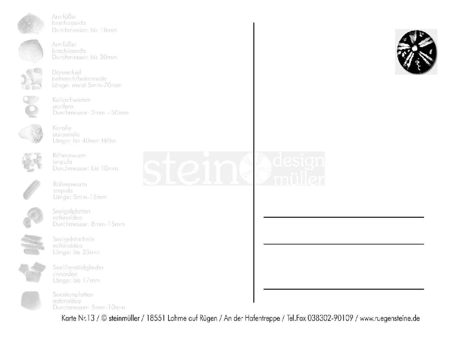 Postkarte mit Fossilienmotiv von der Ostsee-Insel Rügen