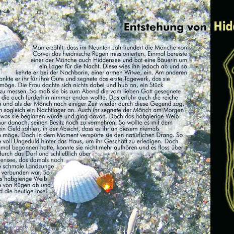 Postkarte Hiddensee – Ein Blick auf die Ostsee-Insel