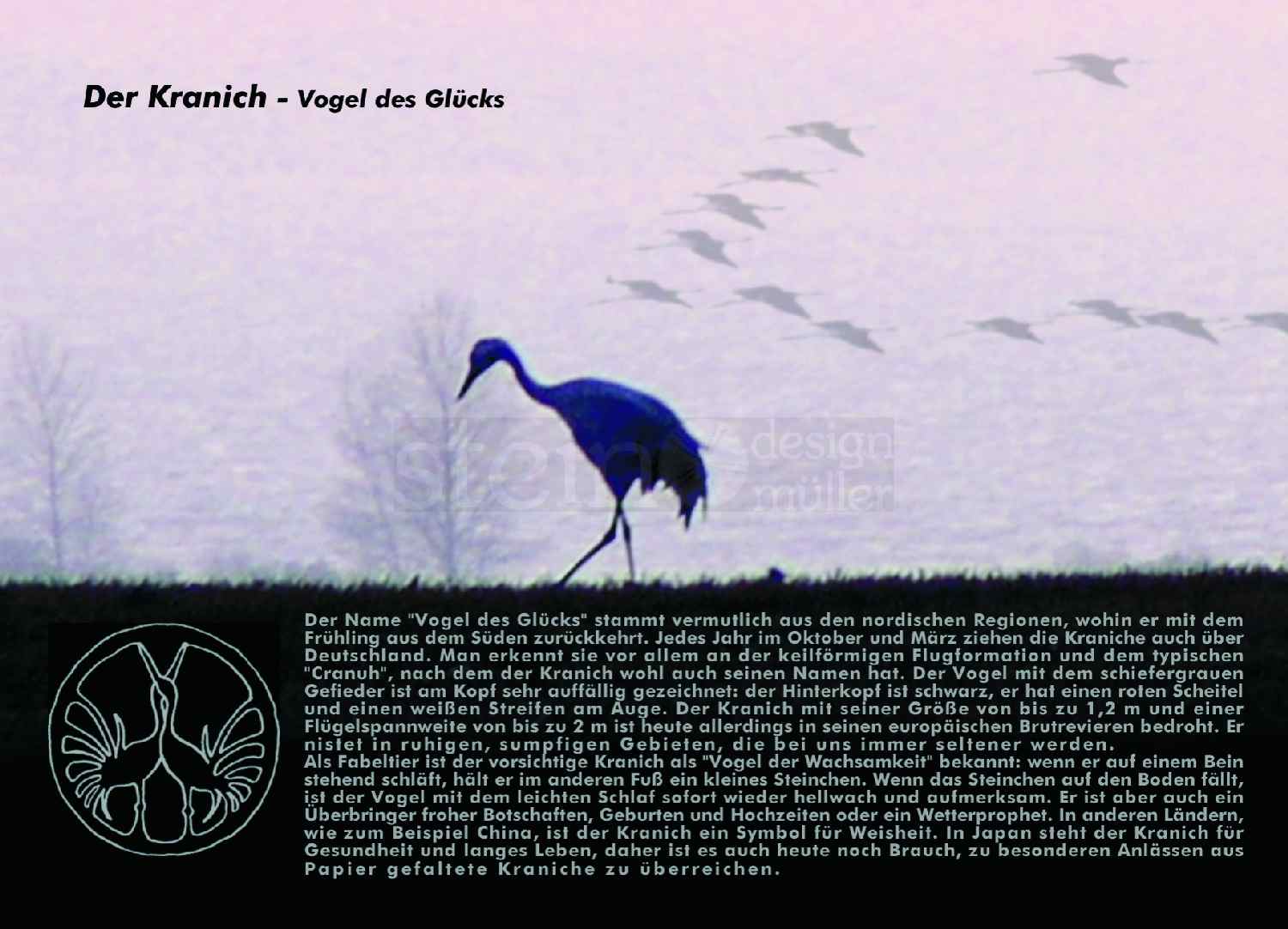 Postkarte Kranich – Origami auf velvet blue
