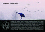 Postkarte Kranich – Origami auf velvet blue