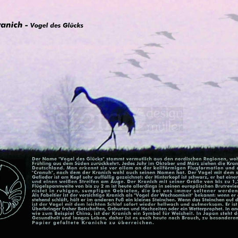 Postkarte Kranich – Origami auf velvet blue