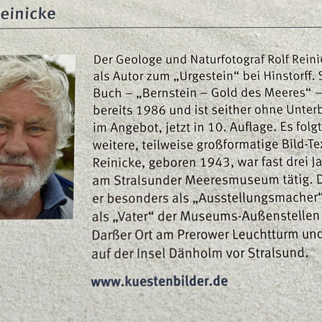 Strandfund von der Ostsee – Einzigartiger Schatz