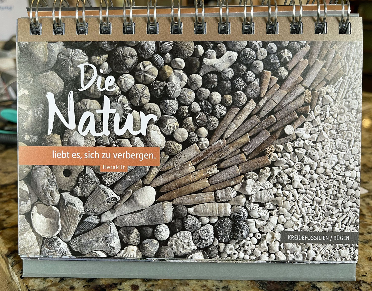 Strandfund von der Ostsee – Einzigartiger Schatz