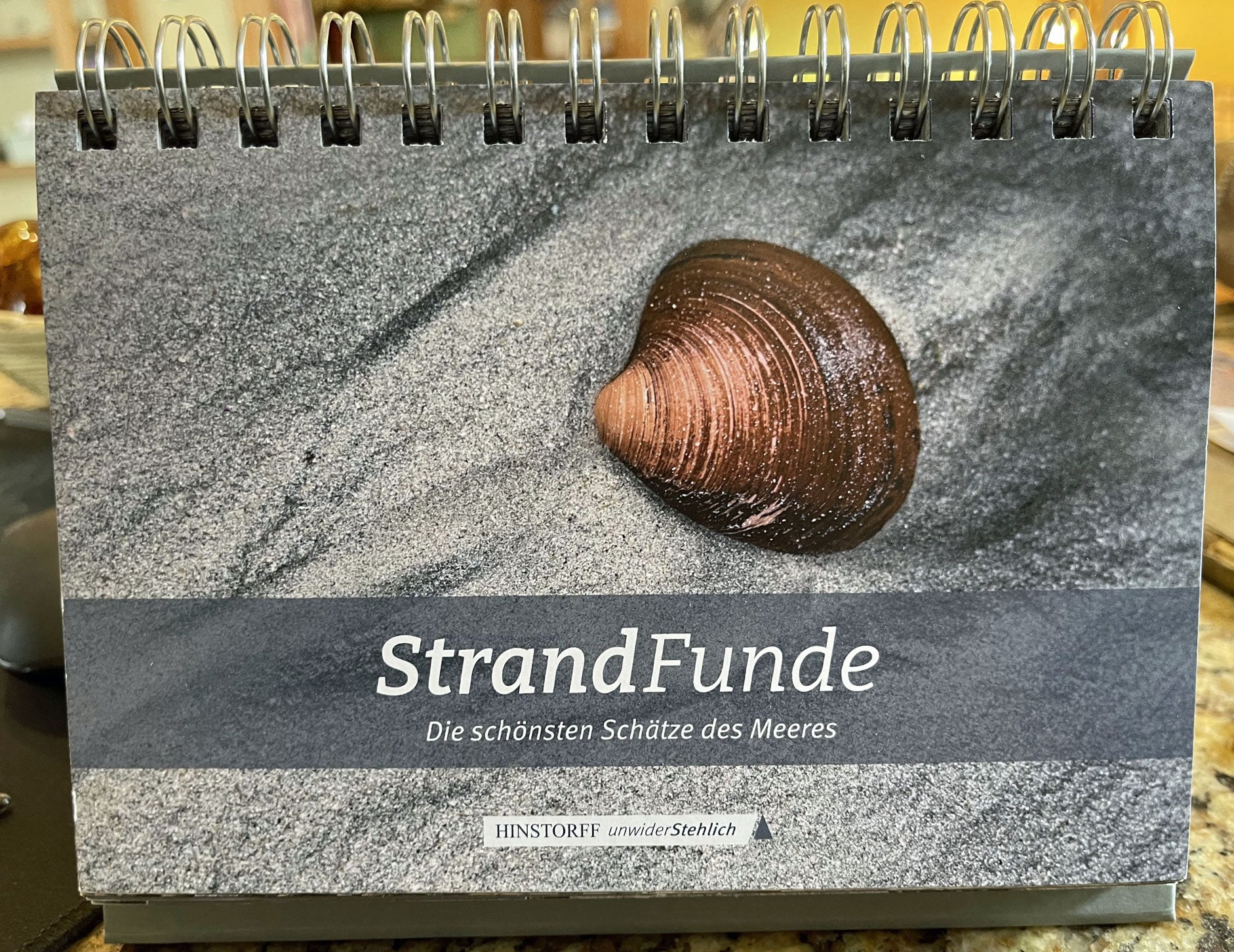 Strandfund von der Ostsee – Einzigartiger Schatz