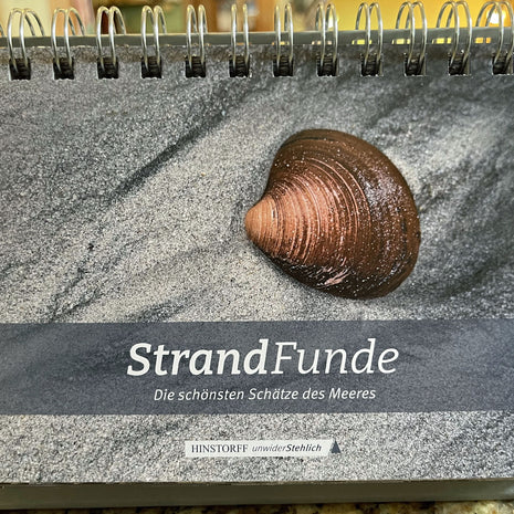 Strandfund von der Ostsee – Einzigartiger Schatz