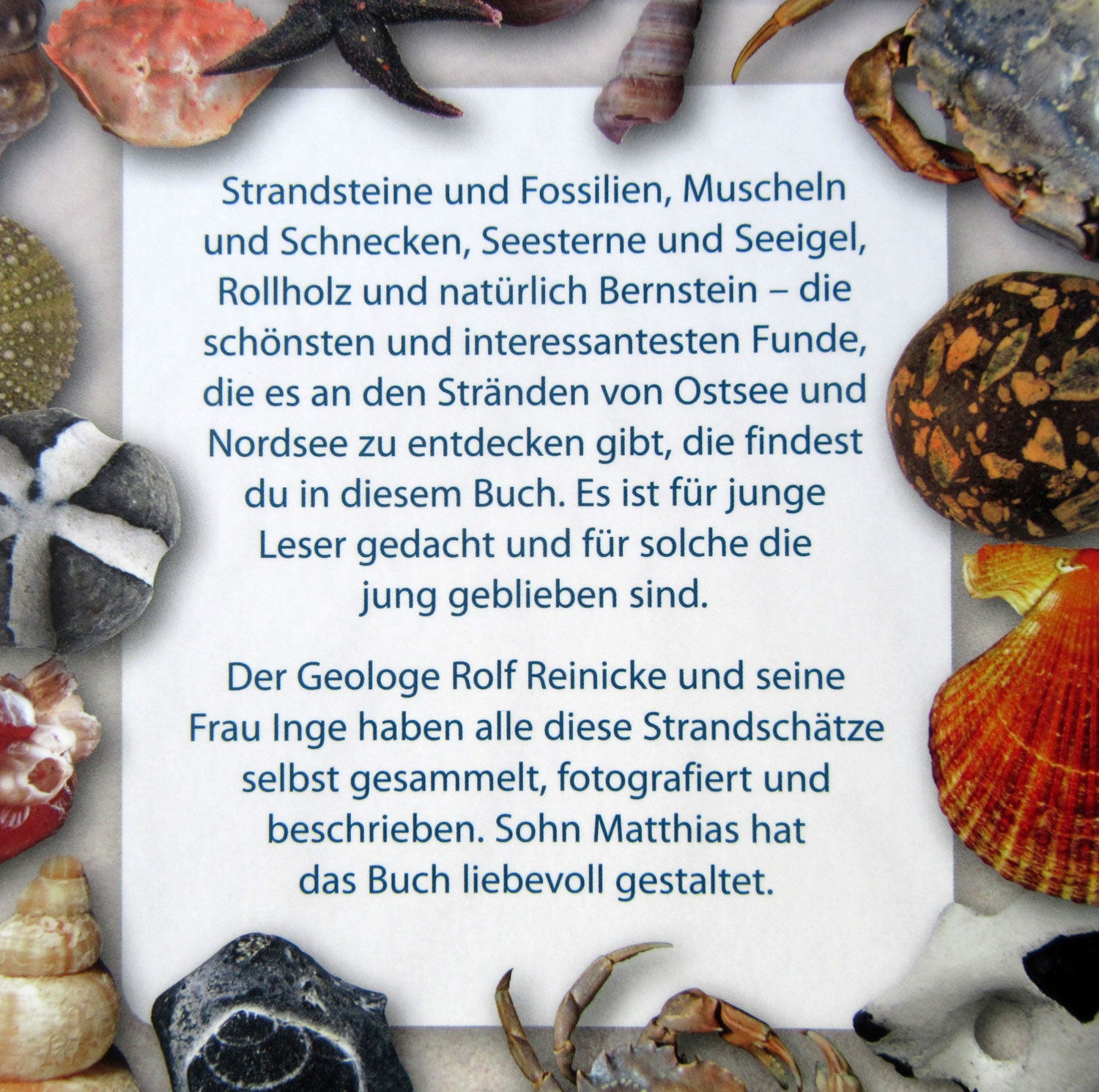 Strandschätze – Das Buch für junge Sammler von Rügen