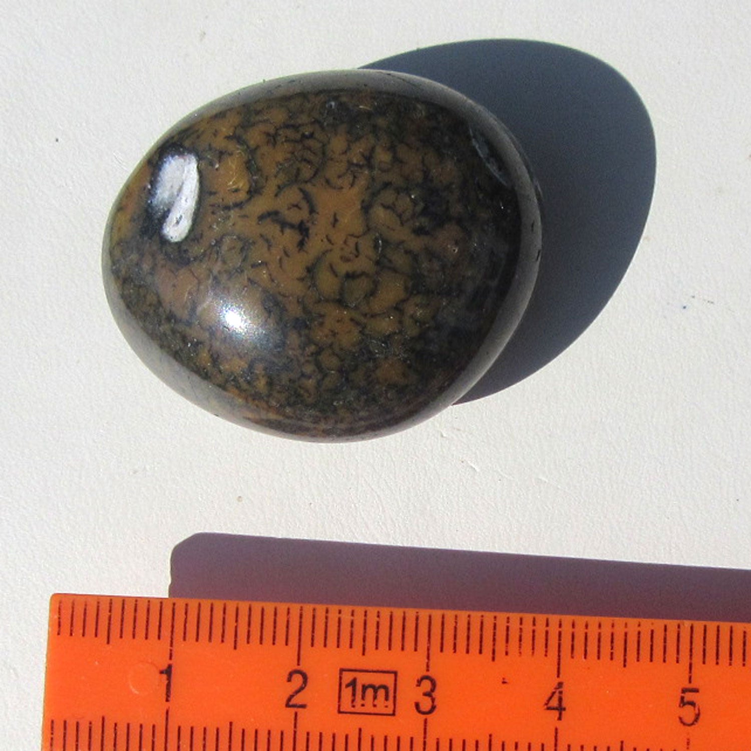 Kompakter Wallstein von der Rügener Küste – poliert, anthrazit mit senffarbener Textur