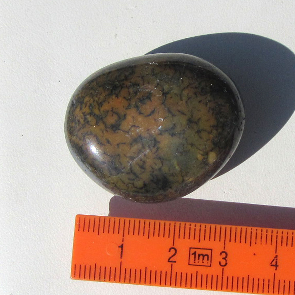 Kompakter Wallstein von der Rügener Küste – poliert, anthrazit mit senffarbener Textur