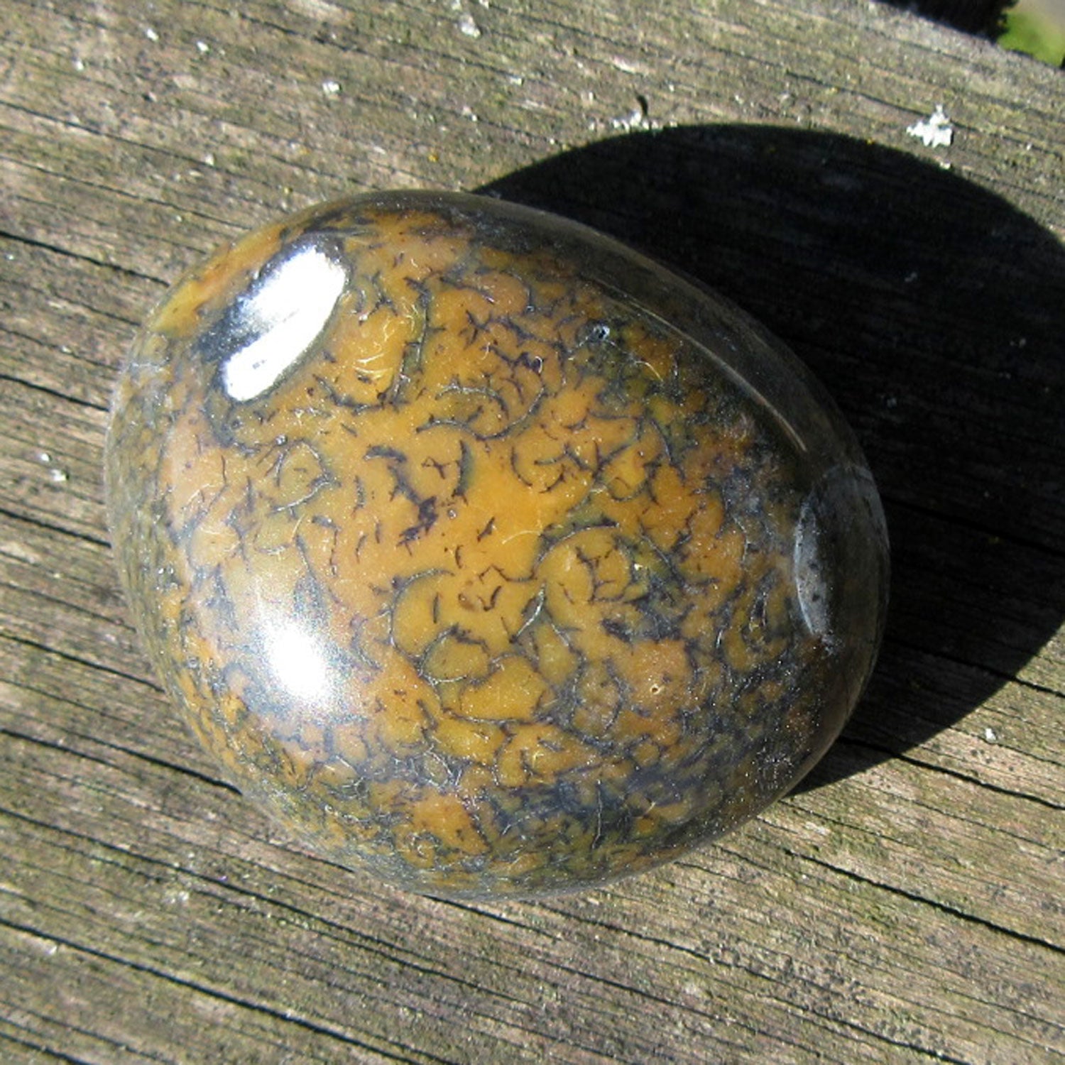 Kompakter Wallstein von der Rügener Küste – poliert, anthrazit mit senffarbener Textur