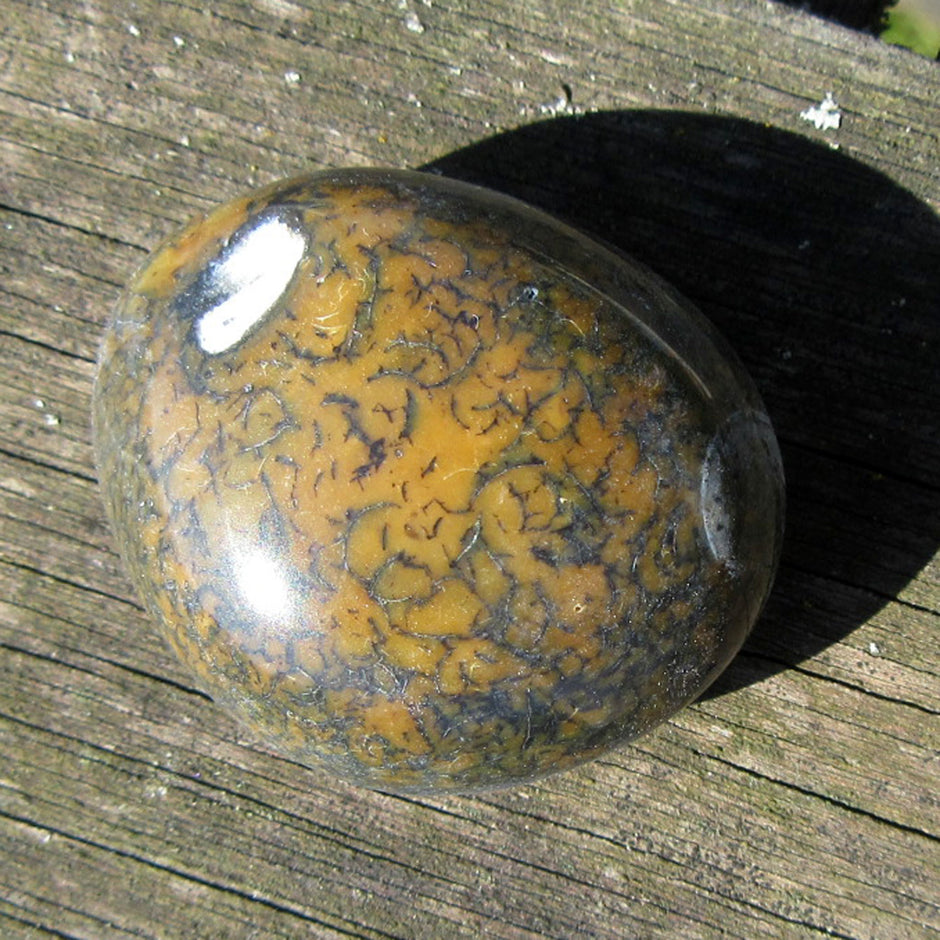 Kompakter Wallstein von der Rügener Küste – poliert, anthrazit mit senffarbener Textur