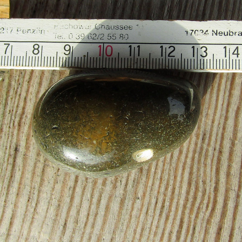 Flacher, hochglanzpolierter Wallstein von der Rügener Küste – bräunlich-grün